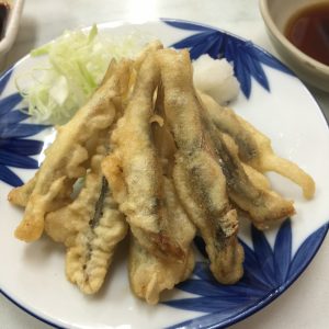 09【広島】源蔵本店【大衆居酒屋 】