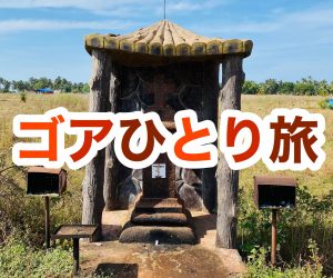 【インド旅行記】EP00 ゴアひとり旅【準備編】